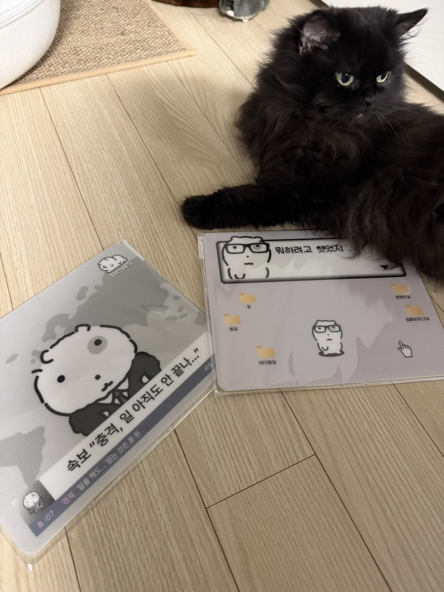 잘 받았습니다!!
저희집 고양이는 오른쪽이 더 맘에 드나봐요

<a href="/Colley_official/">콜리</a>