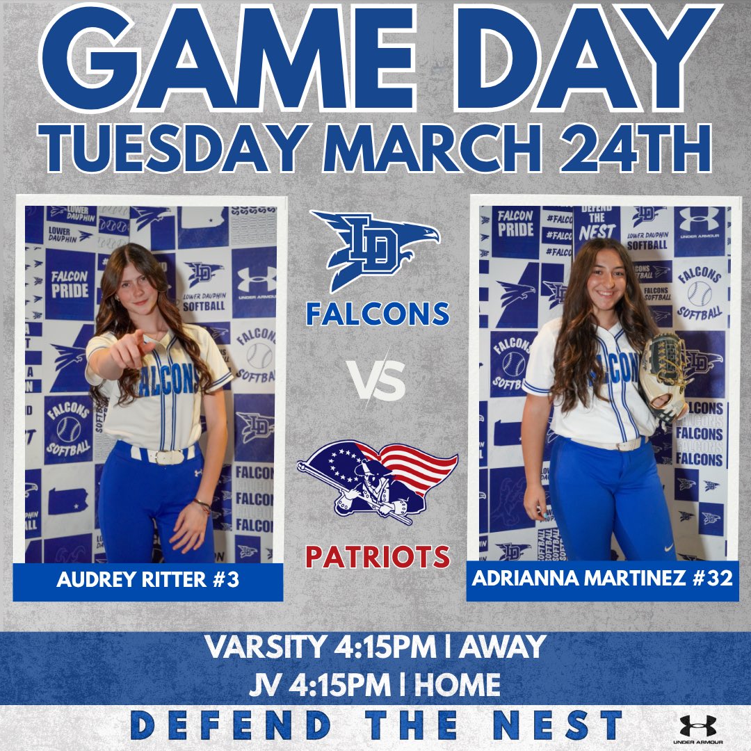 Lower Dauphin Softball tweet media