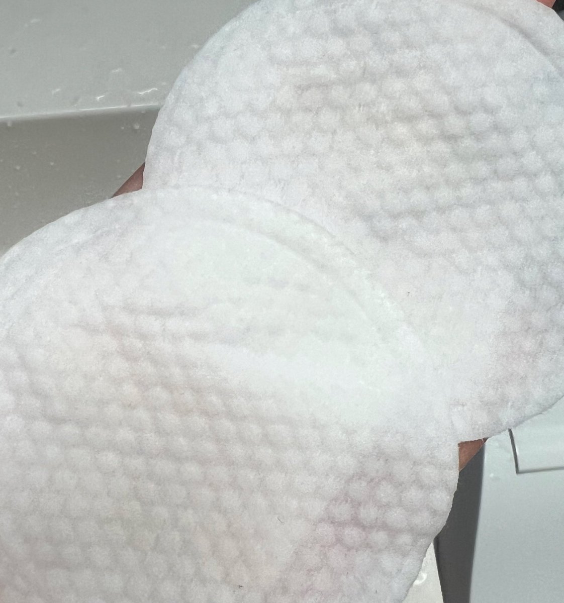 보라초 tweet media