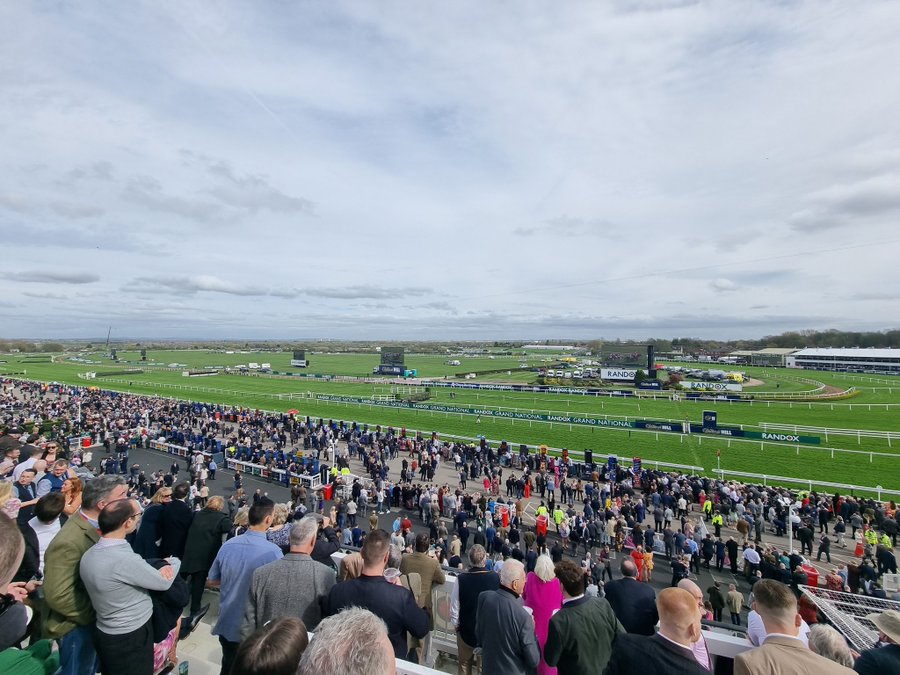 Road To Cheltenham tweet media