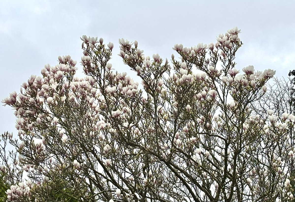 Chris Conway tweet media