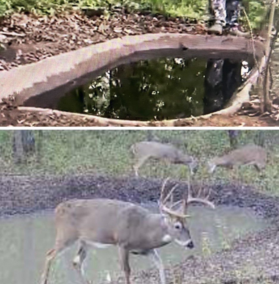 American Raised Outdoors tweet media