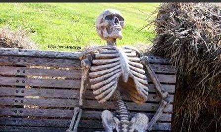 Ajedrecista tweet media