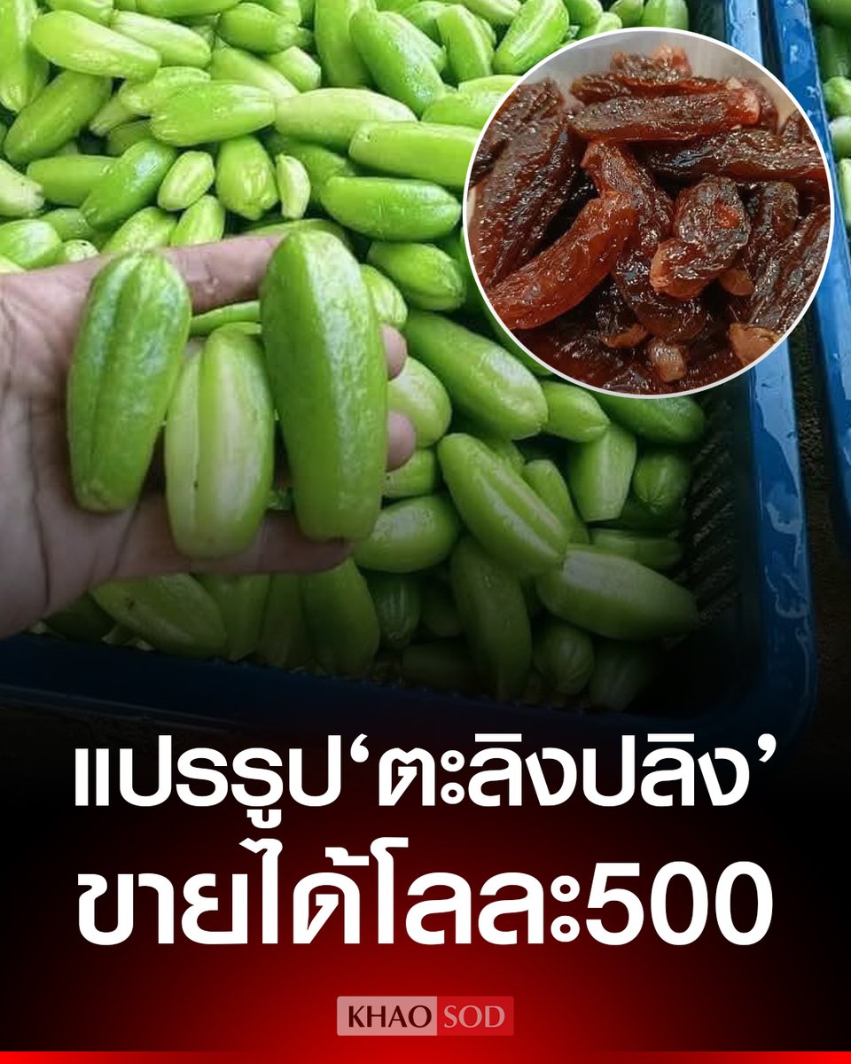 Khaosodonline tweet media