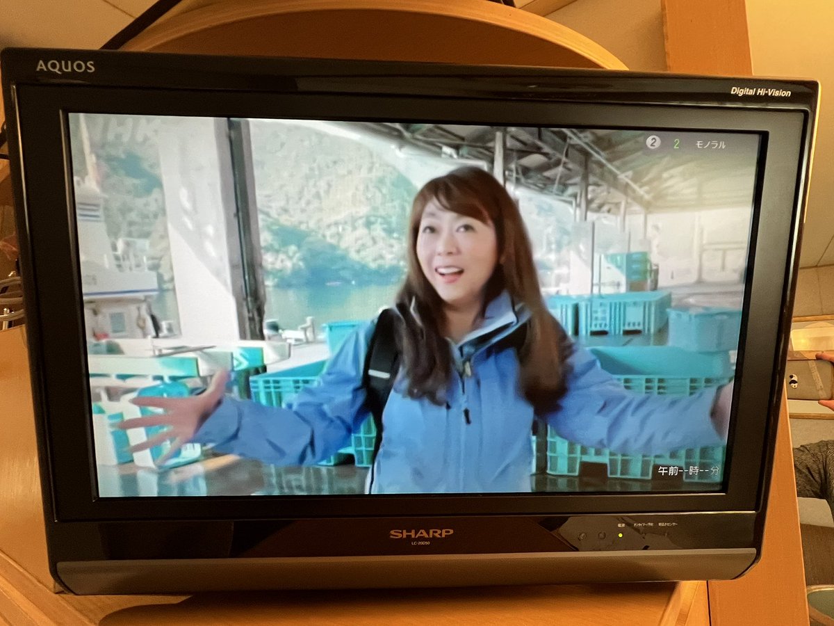 古今亭菊之丞（公式） tweet media