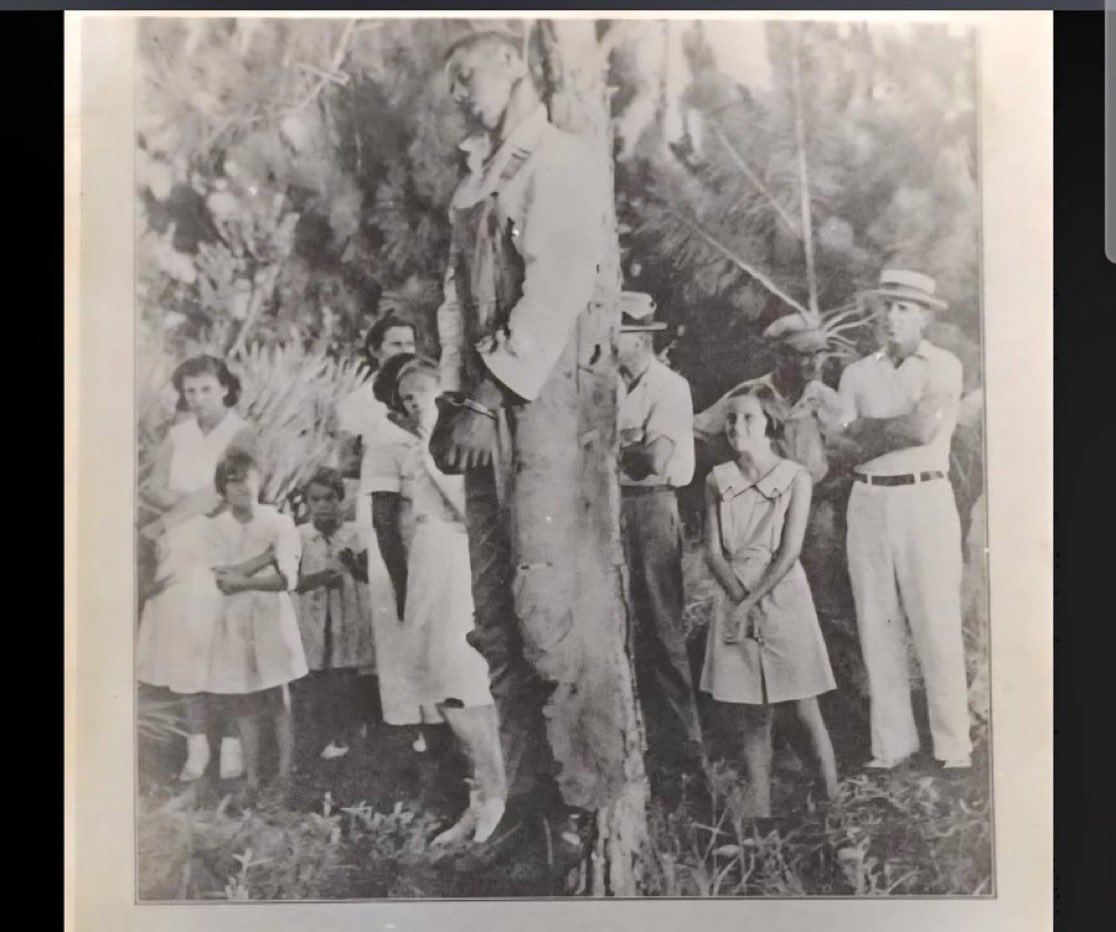 SonkoSonkorék tweet media