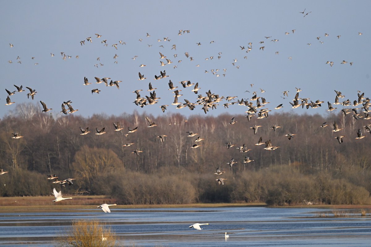 Oliwier Myka tweet media