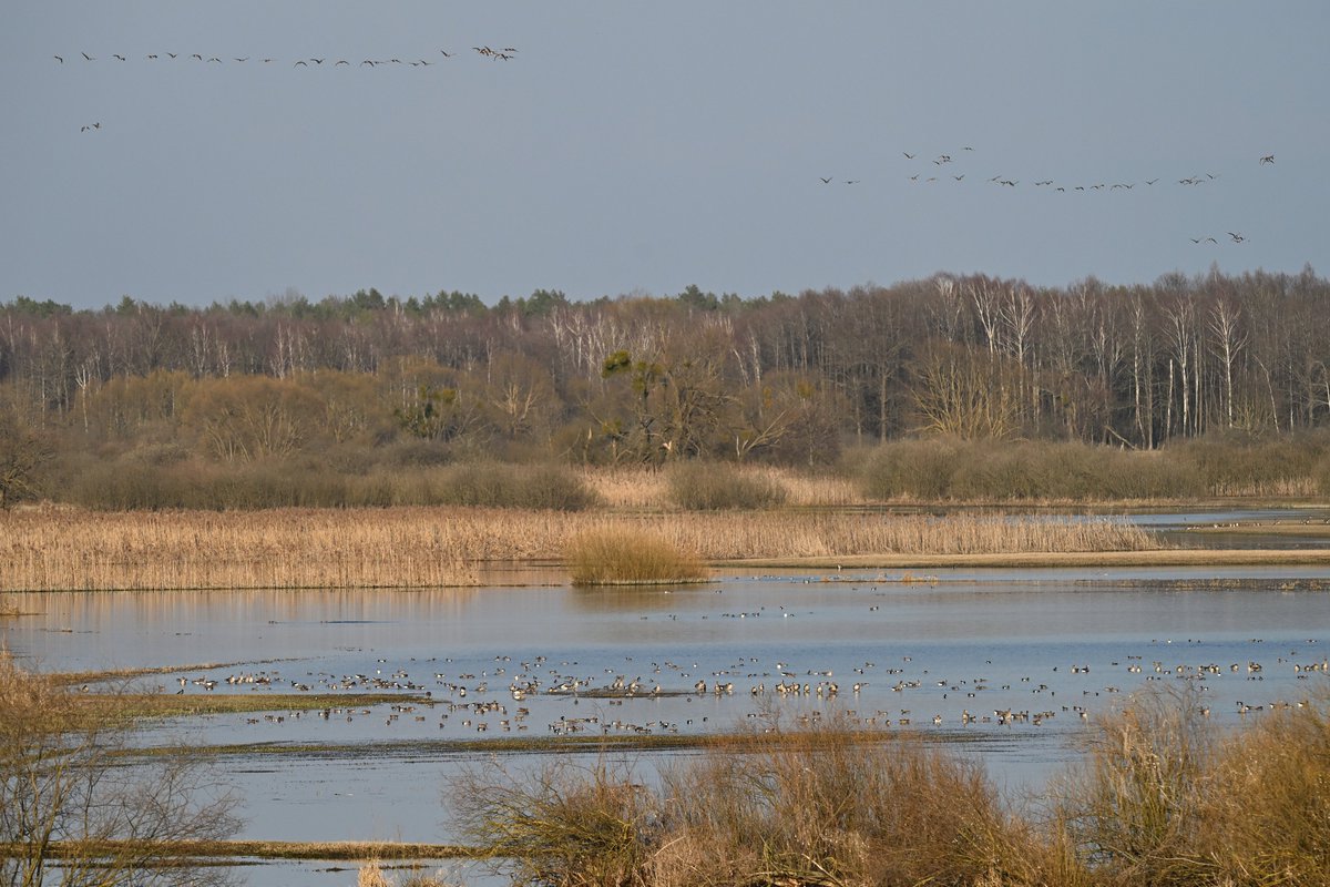 Oliwier Myka tweet media