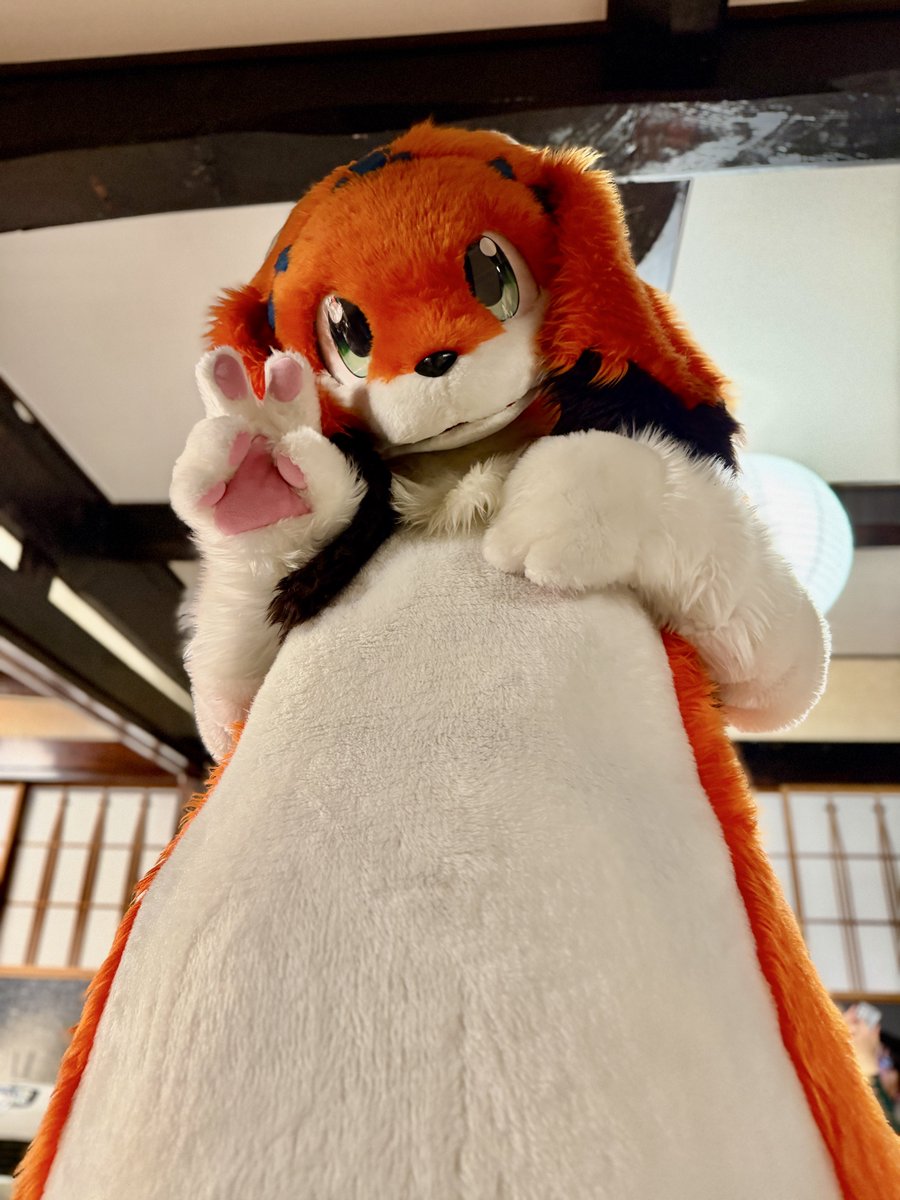 がるふぁ@ロノア&狩亜 tweet media