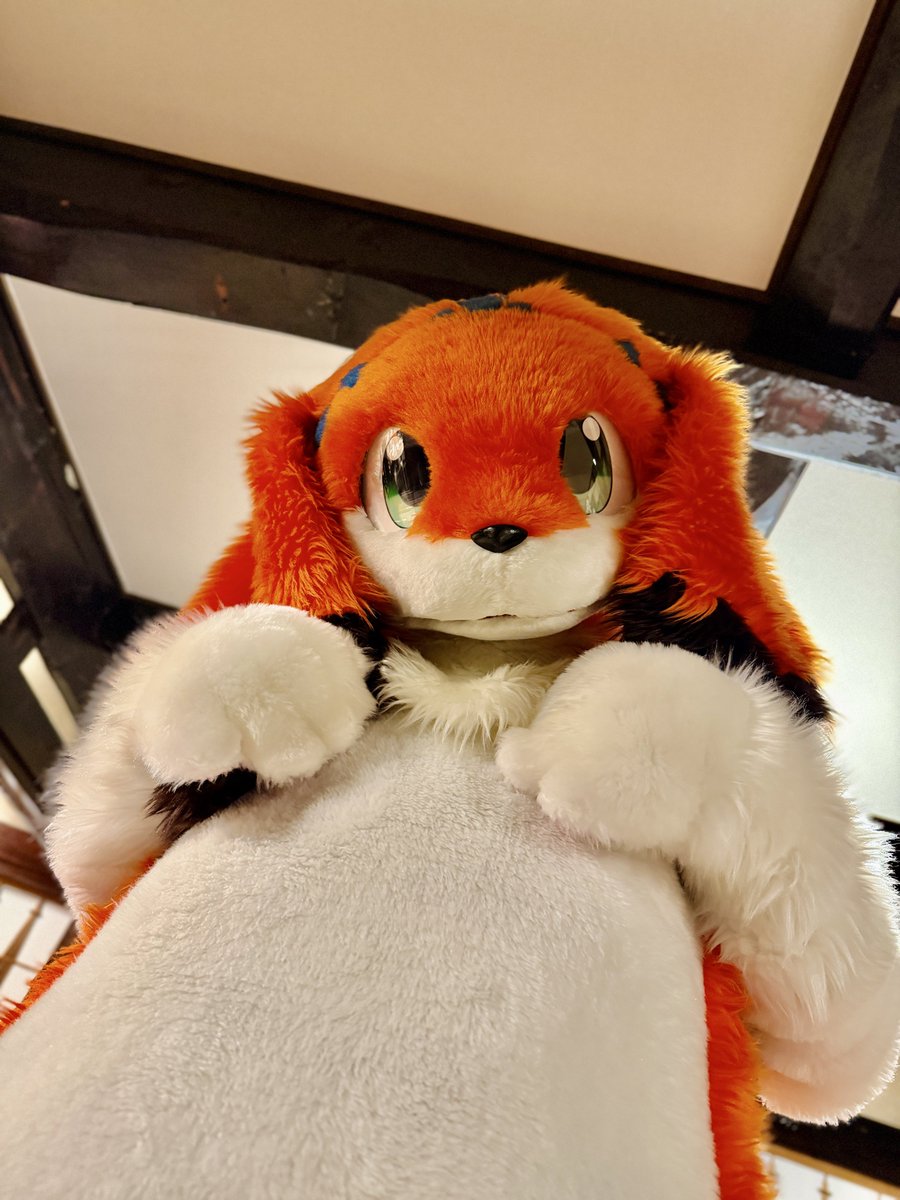 がるふぁ@ロノア&狩亜 tweet media