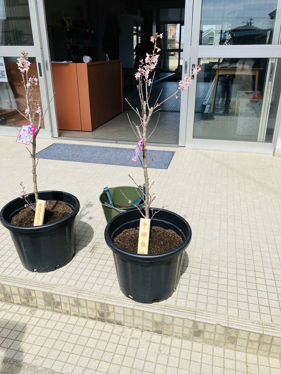 nakaseh's tweet photo. 創業して２９年、初めて記念植樹をさせていただきました。
弊社にとっても節目の出来事として記憶しておきたいと思います。

神社チヤーズの成長、永続を願います https://t.co/lcJgmLCu2x