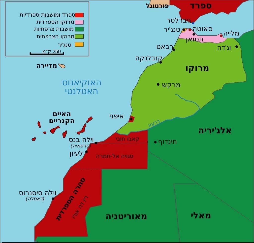 Hamza El tweet media