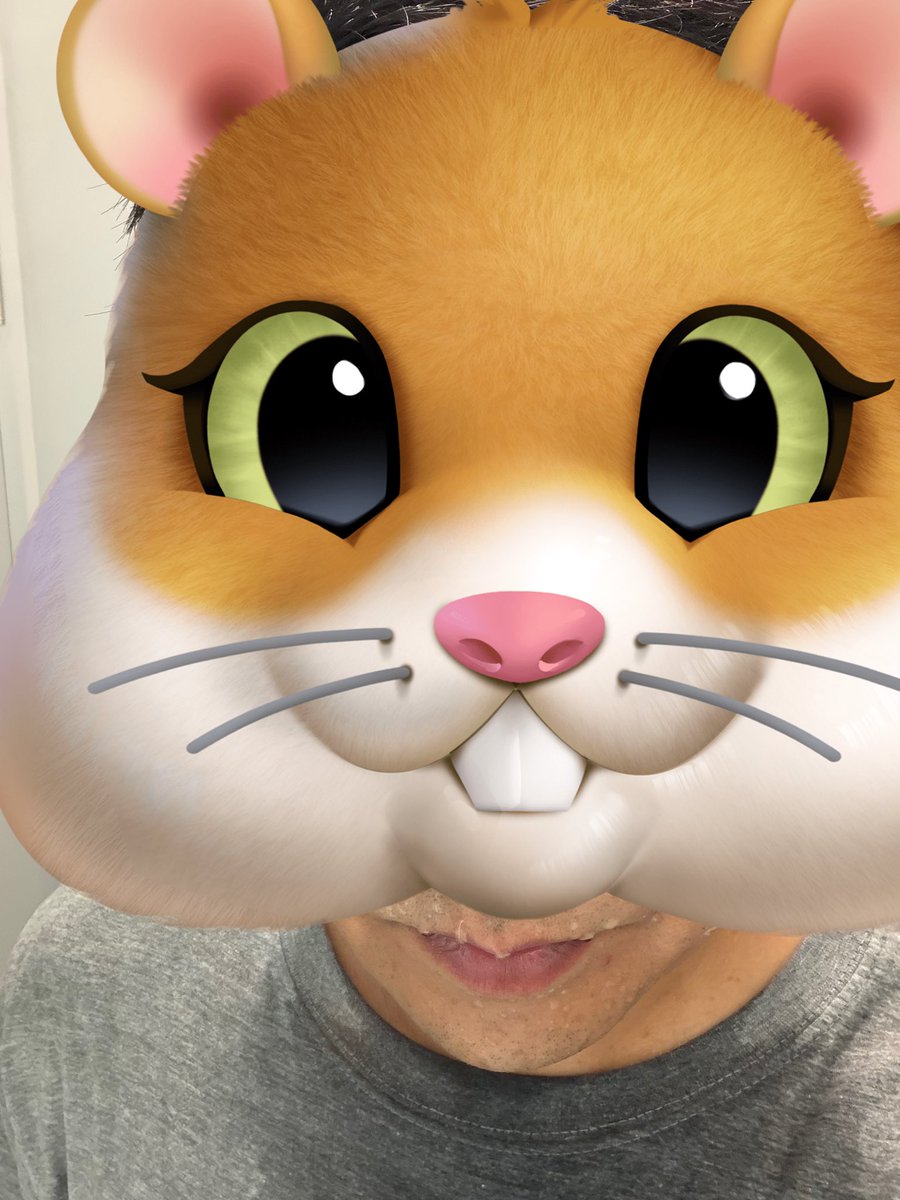 Austeslam (오즈) tweet media