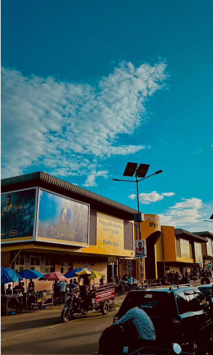 Lango Unveiled 🌴 tweet media