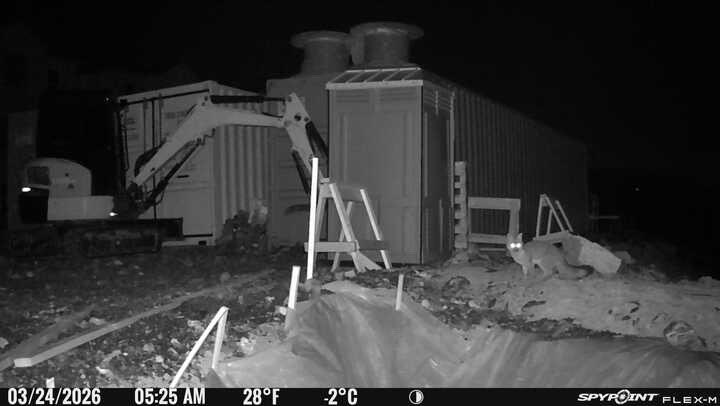 Kenny5Alive tweet media