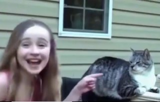 el 🐻‍❄️ tweet media