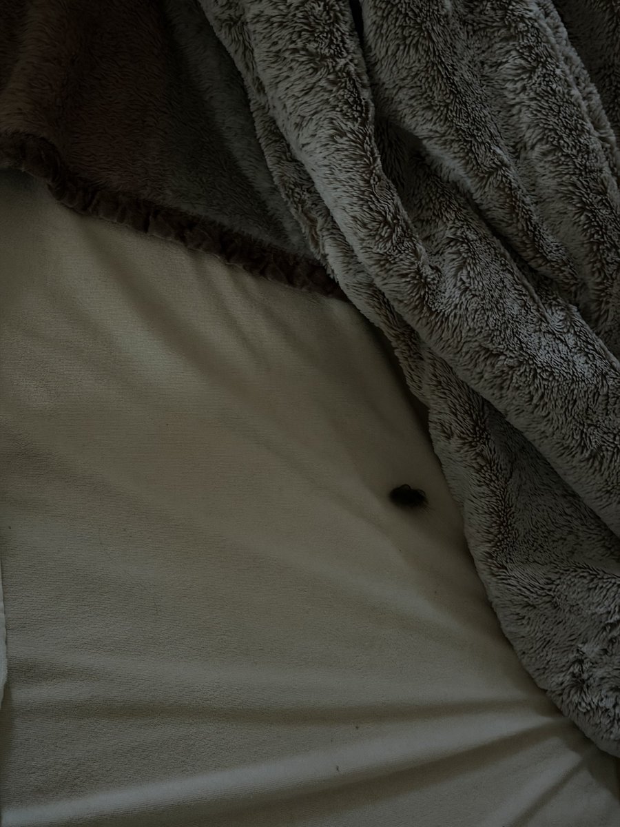 麦とろろ tweet media