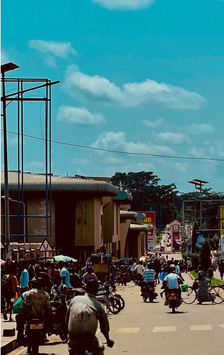 Lango Unveiled 🌴 tweet media