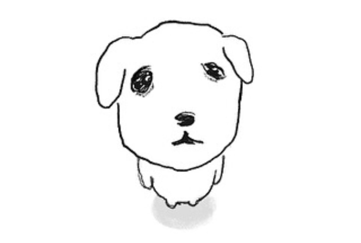 루비플러스 tweet media