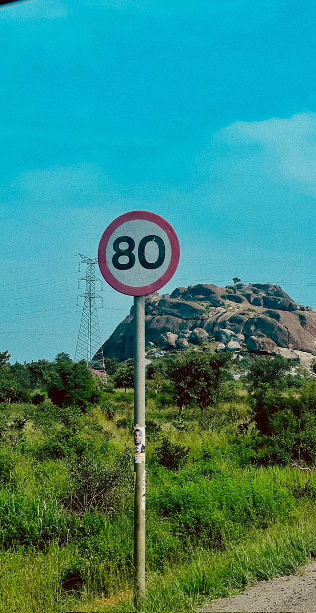 Lango Unveiled 🌴 tweet media