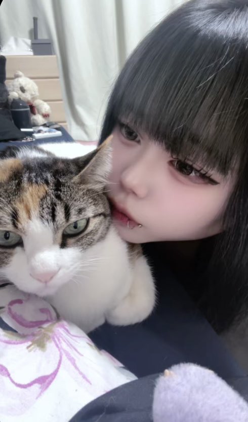 脳死ㄘゃん tweet media