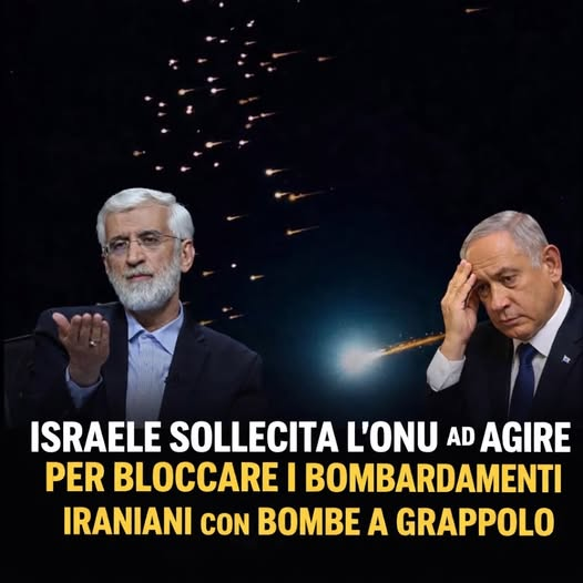 SereBellardinelli tweet media