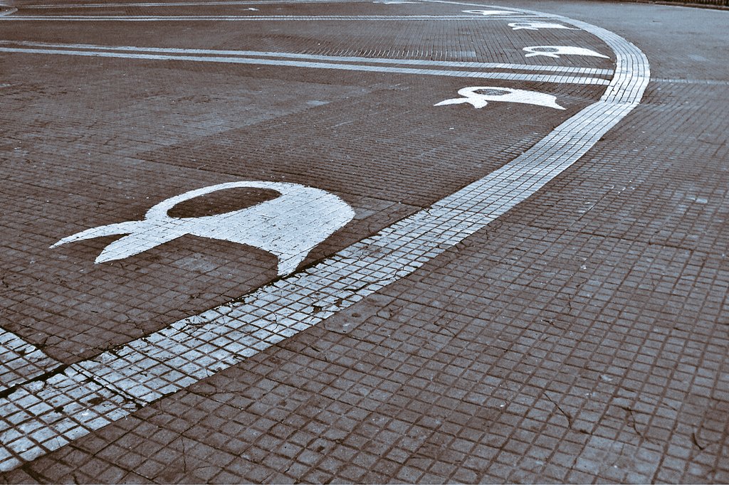 Gaston Giribet tweet media