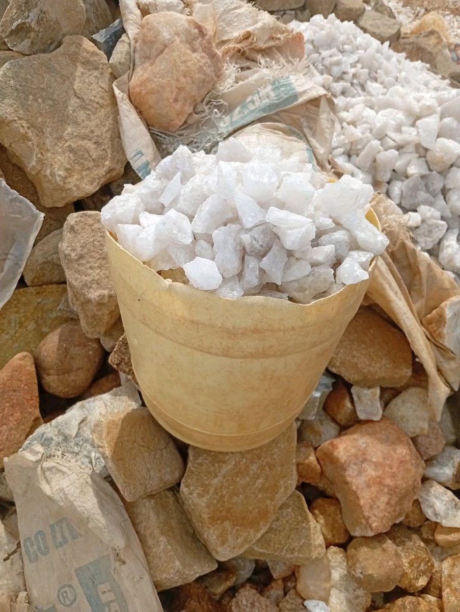 Ignatius tweet media