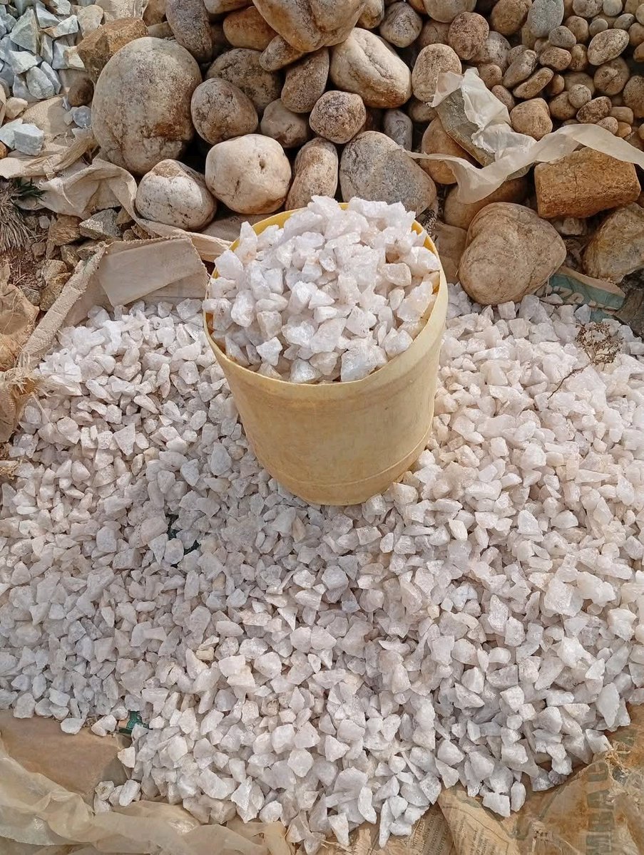 Ignatius tweet media