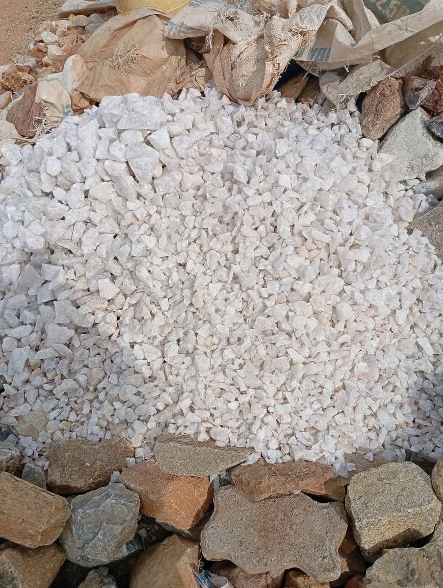 Ignatius tweet media