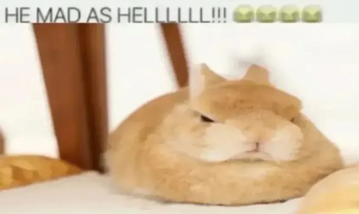 SOOBIN OST tweet media