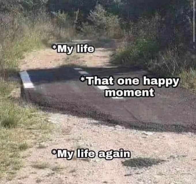 hurting feelings tweet media