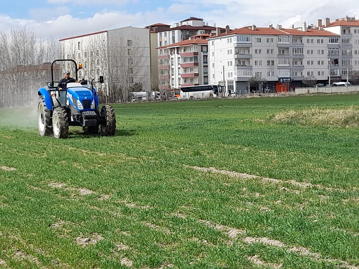 Enstitümüz ekim nöbeti kapsamında merkez  arazimize ekimi yapılan Bahri Dağdaş Tarımsal Araştırma Enstitüsü Müdürlüğü’nce geliştirilen yüksek verimli yerli ve milli buğday çeşidi TANER’in üst gübrelemesini gerçekleştirdik.

Tüm üreticilerimize bereketli bir sezon diliyoruz…
