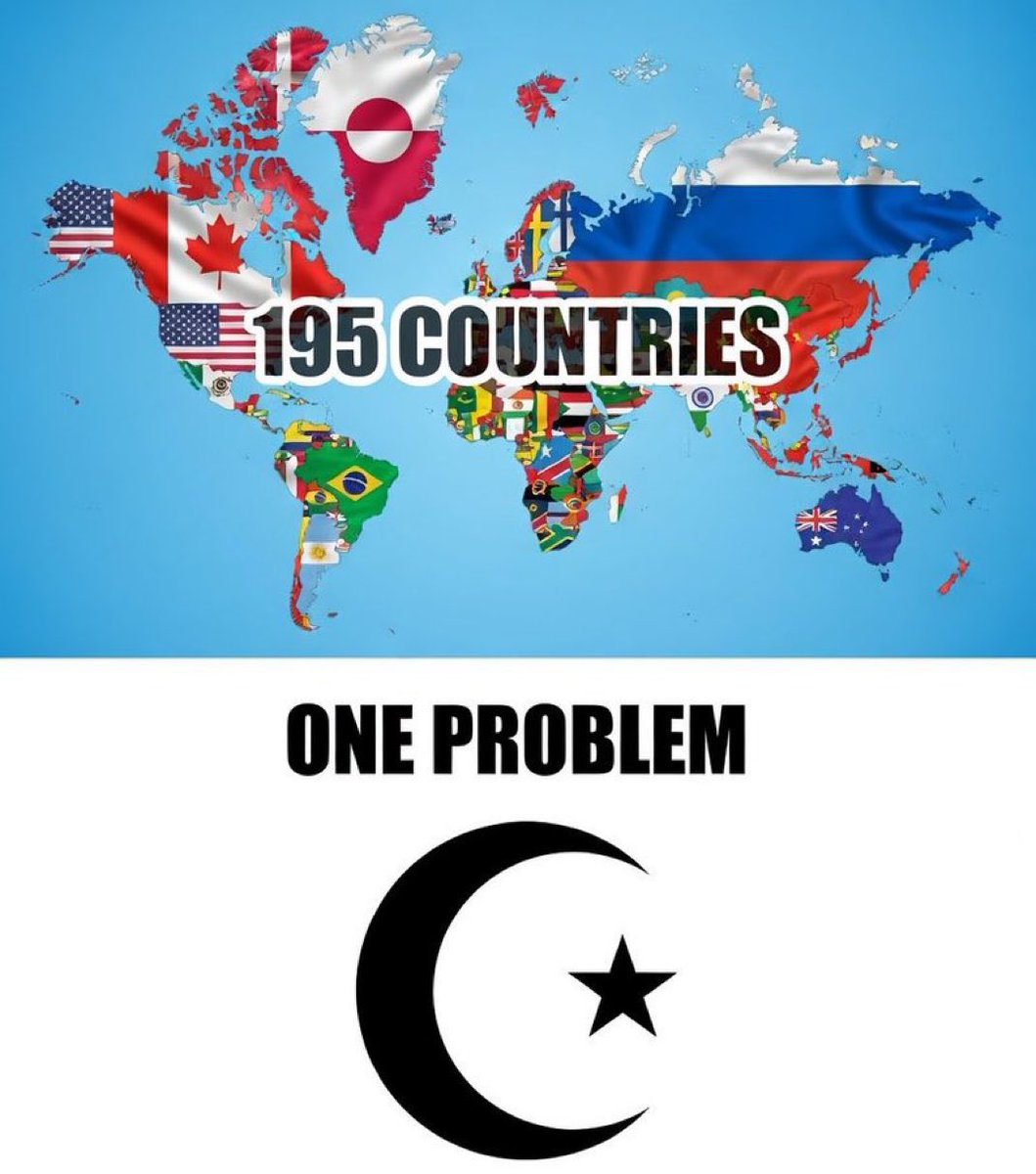 Hawky 🇺🇸🇬🇧 tweet media