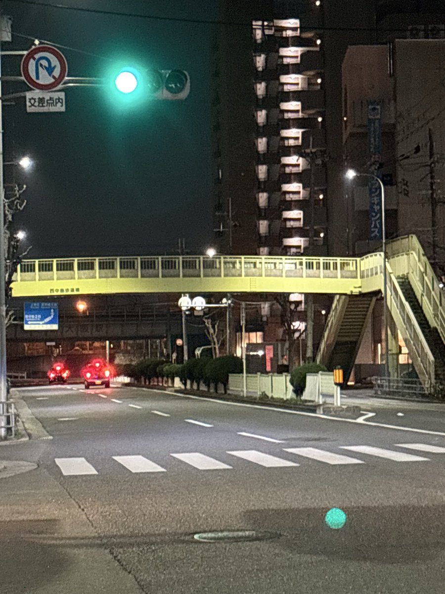 umashika_papa's tweet photo. 信号が青でした。
不思議の国で、ライトフライ級チャンピオンと！KO負けでした🦆 https://t.co/CjXUvKdihj