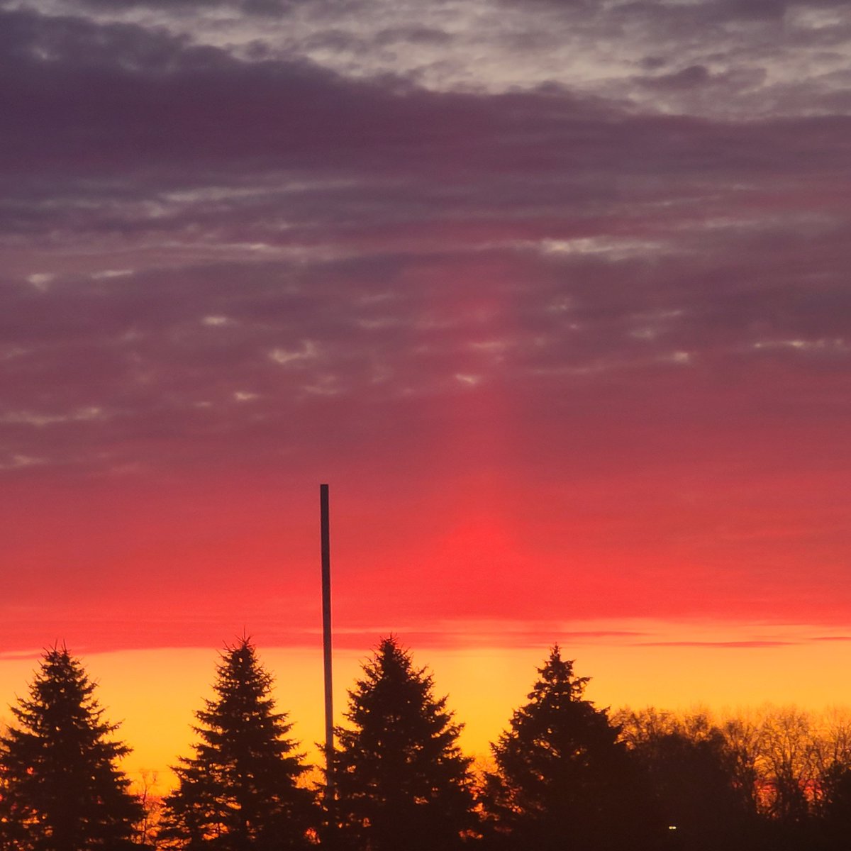 Laffincrow tweet media