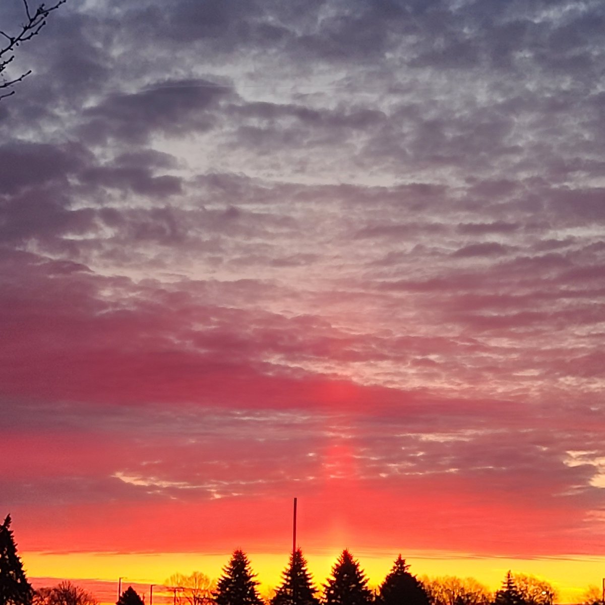 Laffincrow tweet media