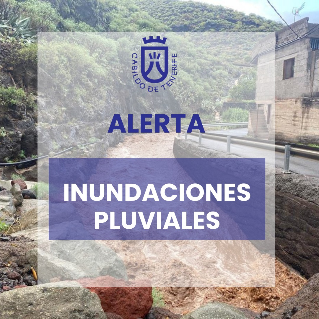 Cabildo de Tenerife tweet media