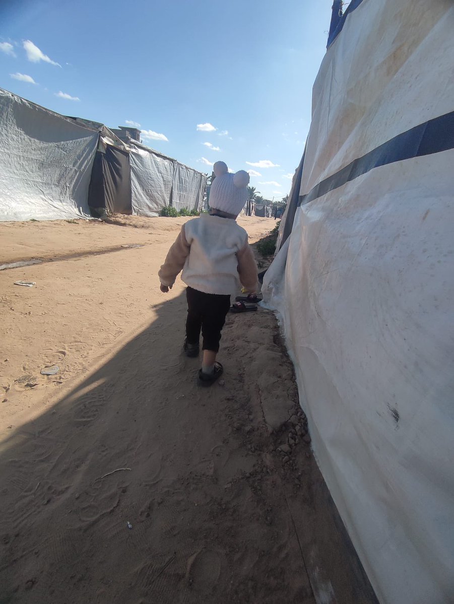 hala in gaza 🇵🇸🍉 tweet media