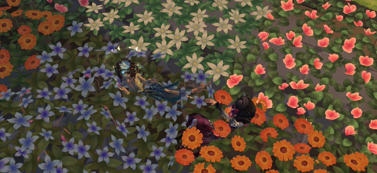 ぴょいまい tweet media