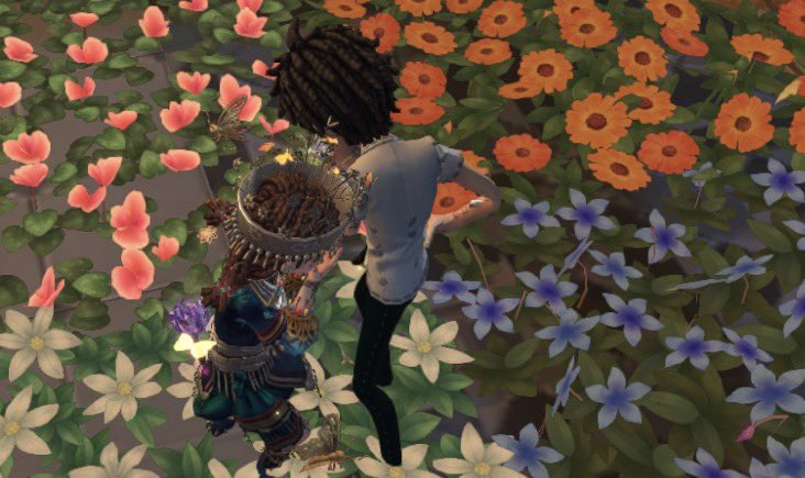 ぴょいまい tweet media