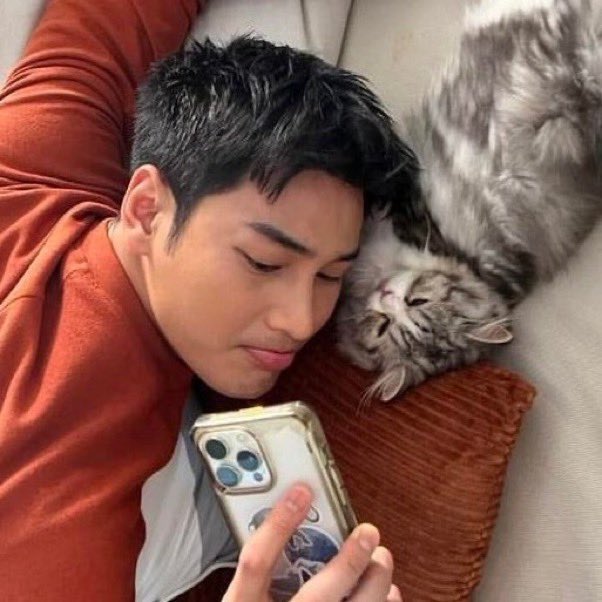 apoocat's tweet photo. i miss my cat :( https://t.co/9zaCOxEyeY
