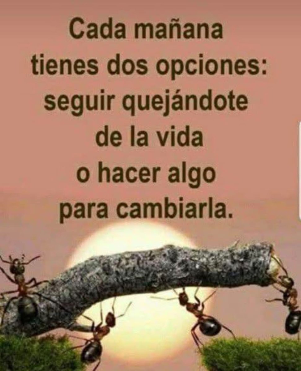 Juan Carlos Meza Fuentes (@3jcmeza) on Twitter photo 