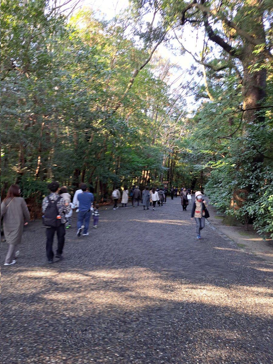 Solo-Alchemist cliometrics tweet media