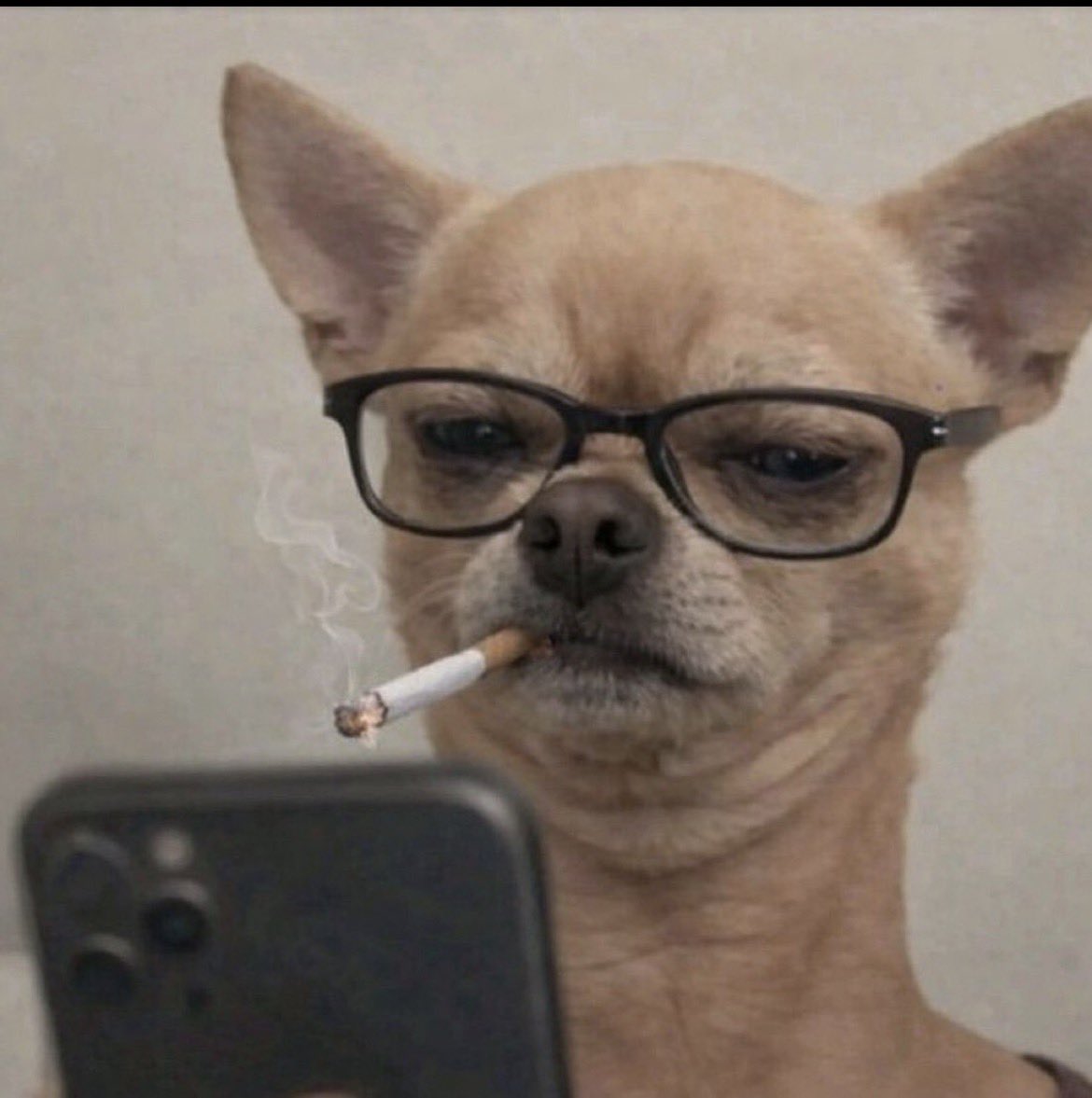 Rodrigo Freitas tweet media