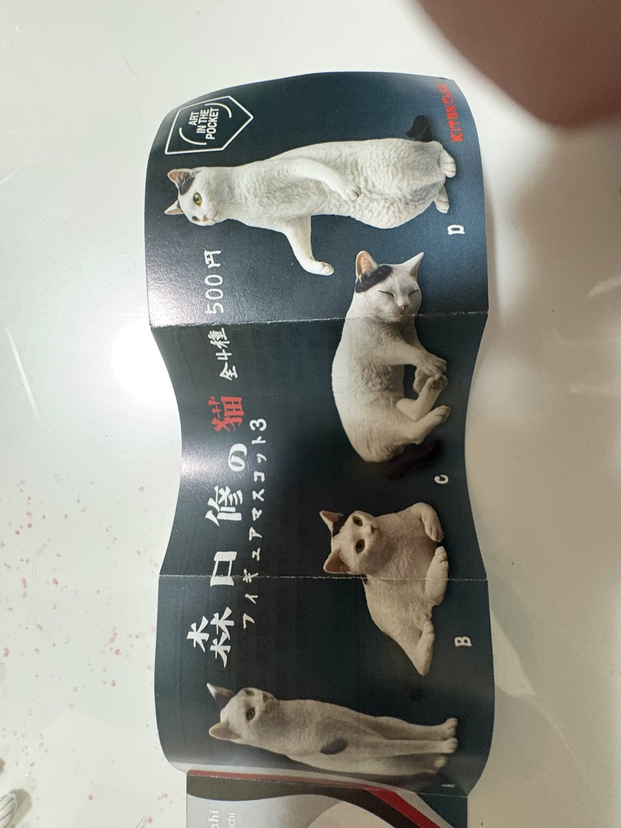 室井大資 tweet media