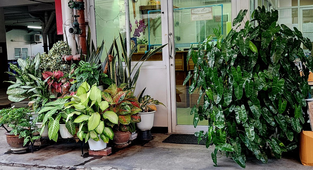 มีน ส่องก่อนทักนะคับ ไม่รักเด็ก 😋 tweet media