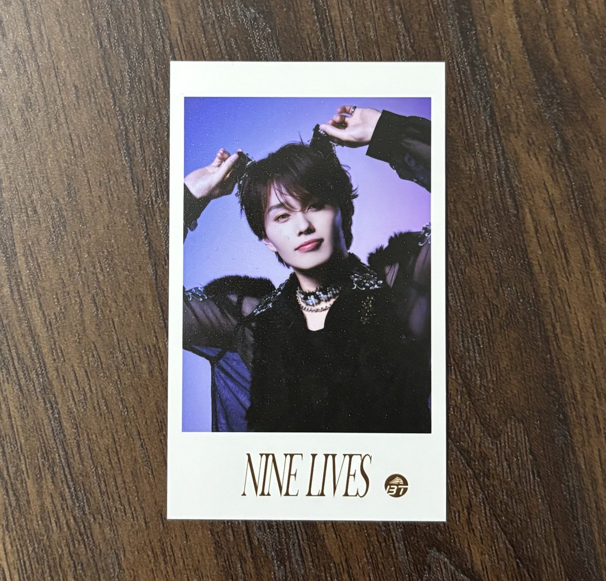 🦝🦖 tweet media