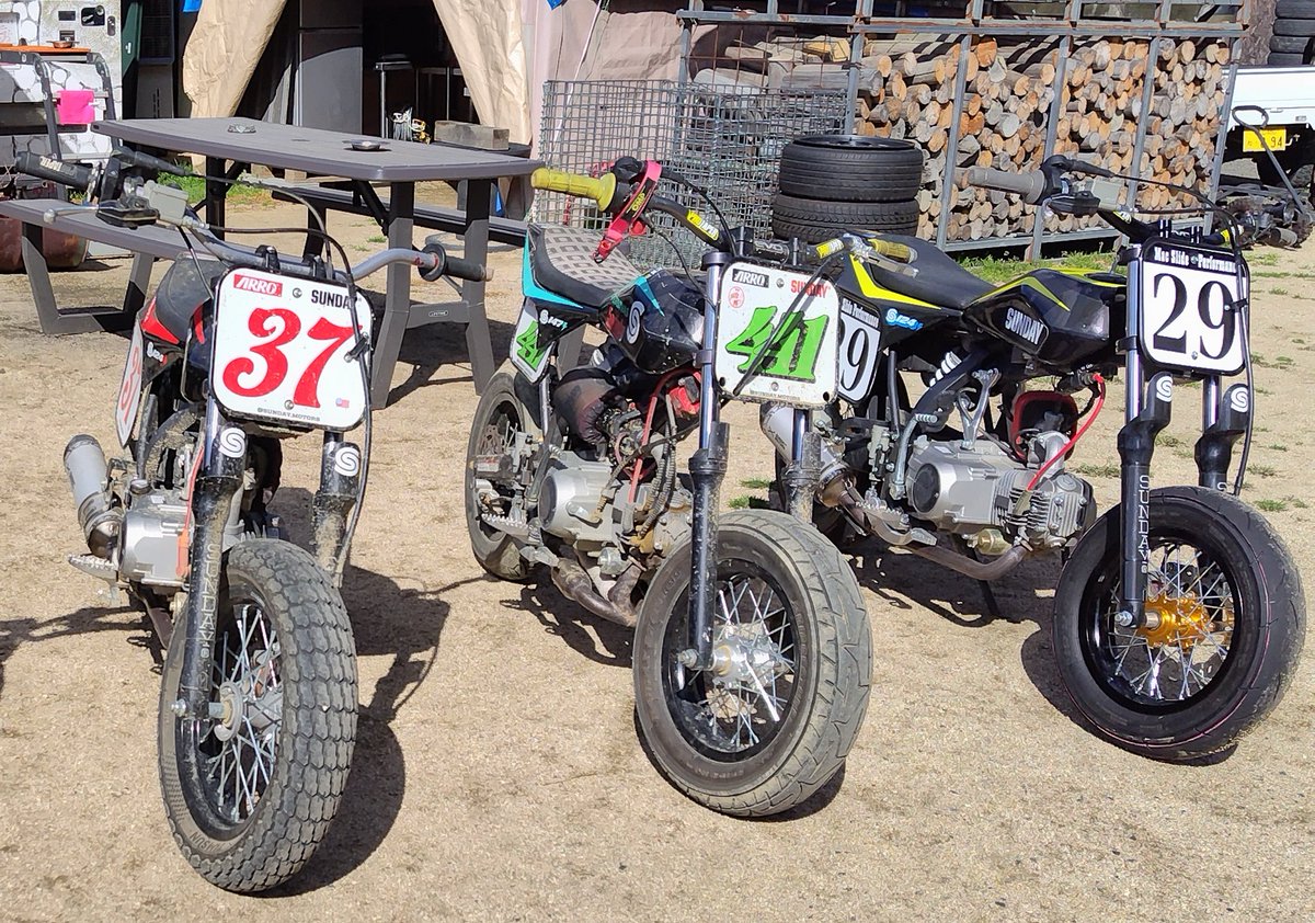 マックファーム　サダテク tweet media