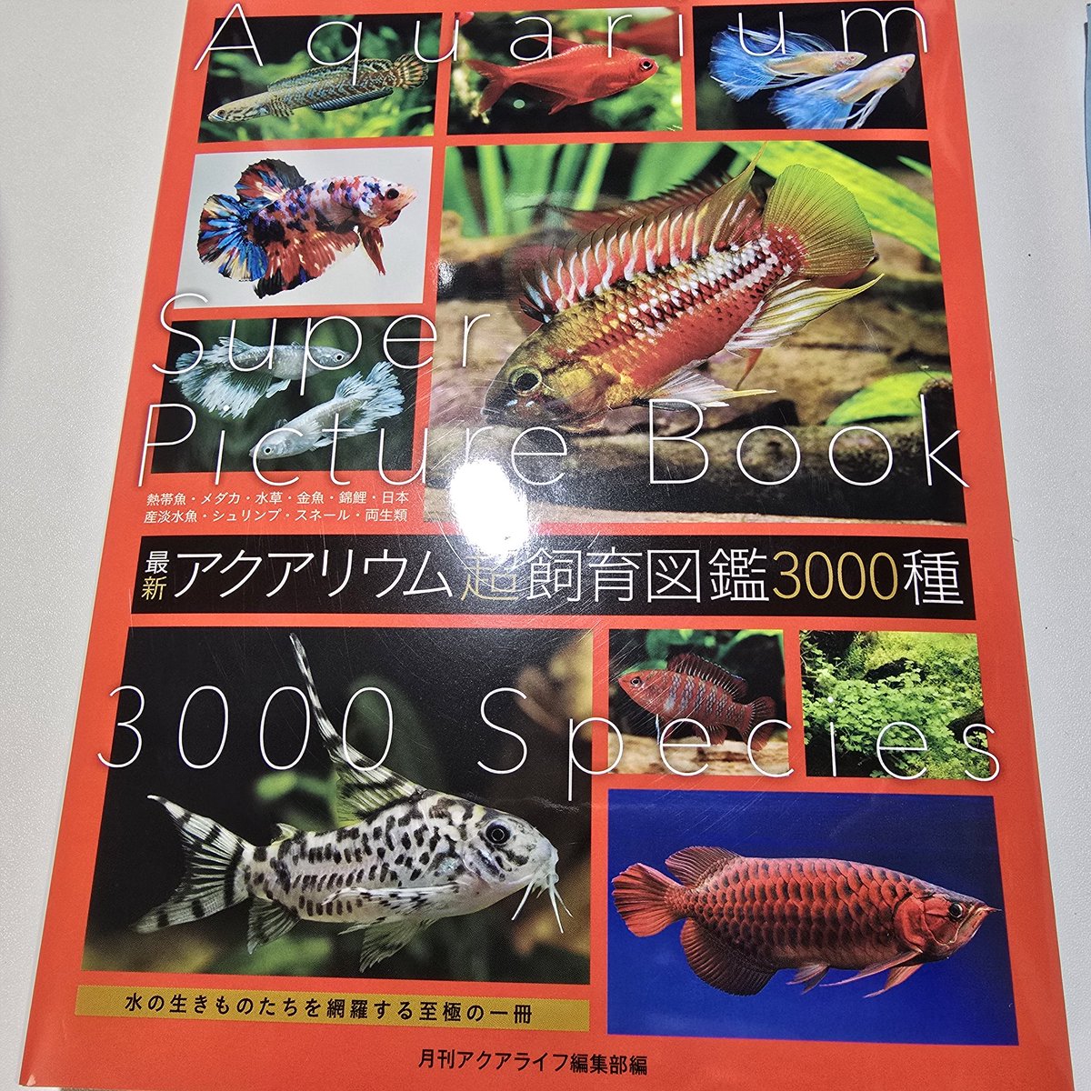 hekune33's tweet photo. 買 https://t.co/93TiwPtzmo